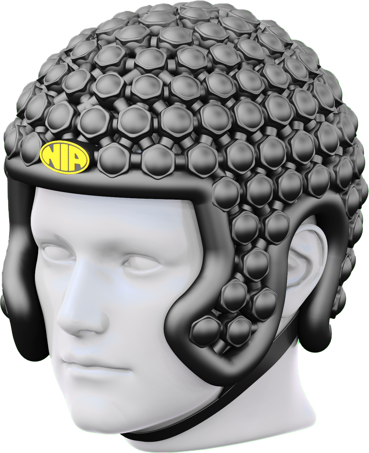 NIA Helmet